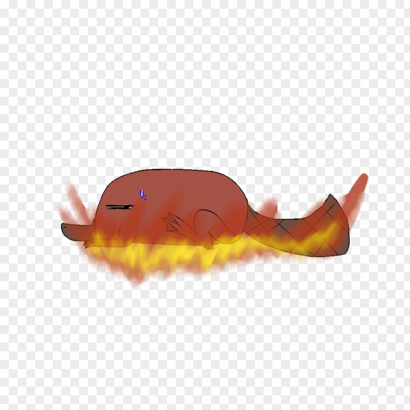 Design Marine Biology PNG