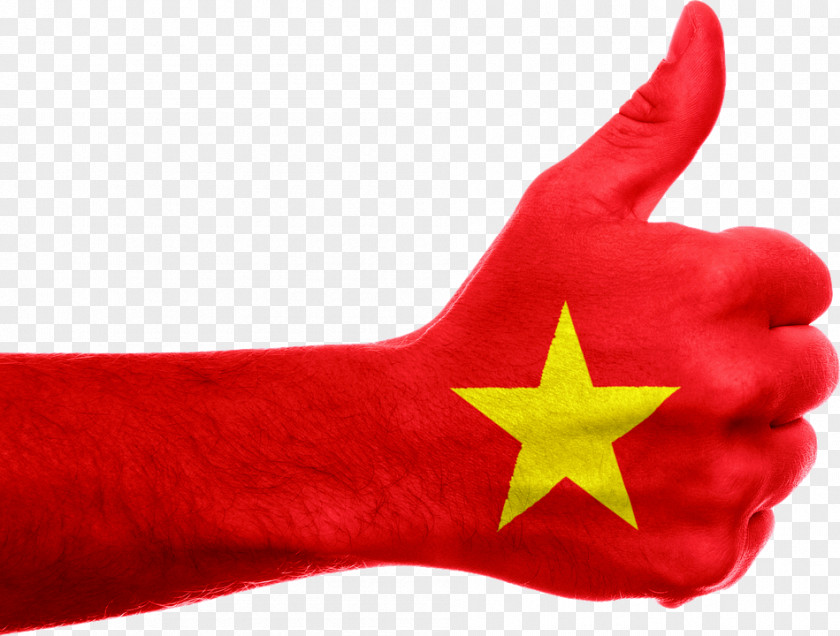 Flag Of Vietnam Vietnamese South PNG