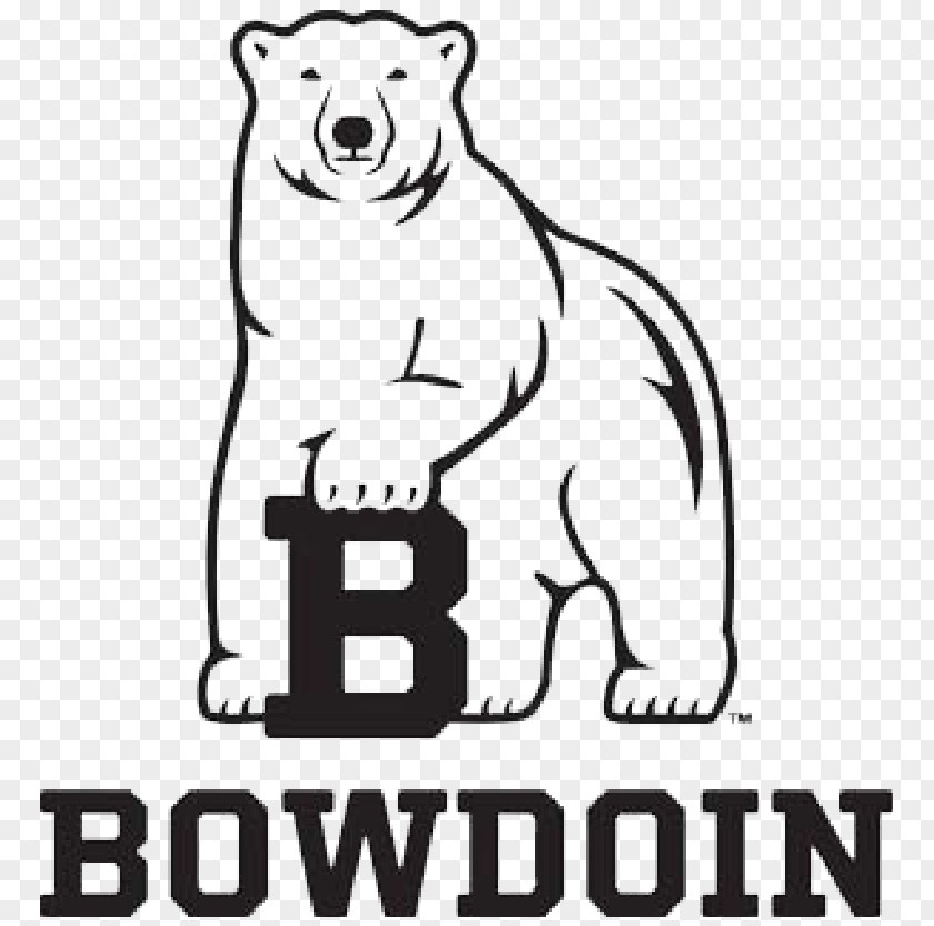 Polar Bear Bowdoin College Bears Football Women's Basketball PNG