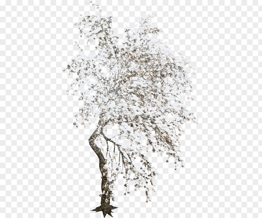 Tree Twig Raster Graphics Computer PNG