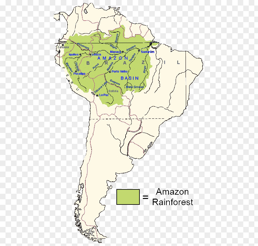 Amazon River Line Point Ecoregion Organism Clip Art PNG