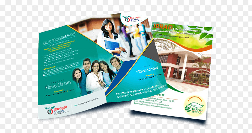 Design Brochure Web Graphic Designer Studio PNG