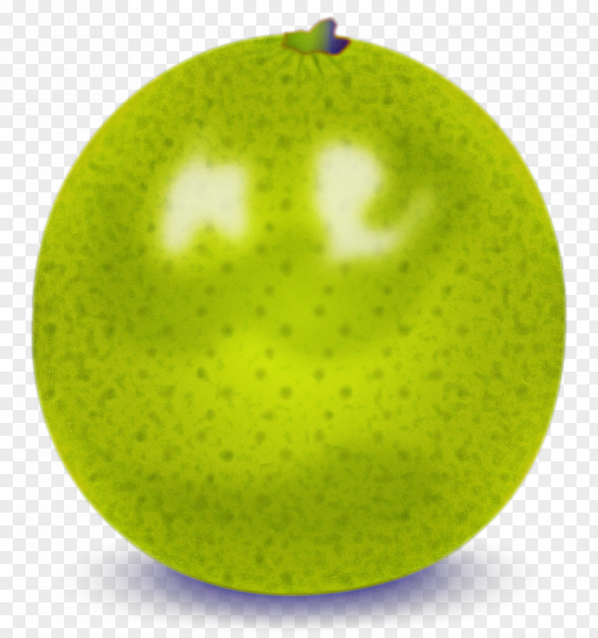 Green Granny Smith Fruit Ball Plant PNG