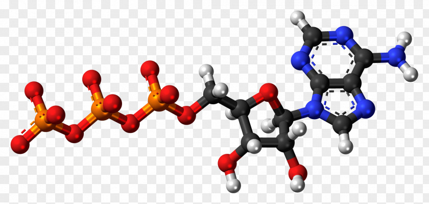 Jurassic World Adenosine Diphosphate Monophosphate Adenine Triphosphate PNG