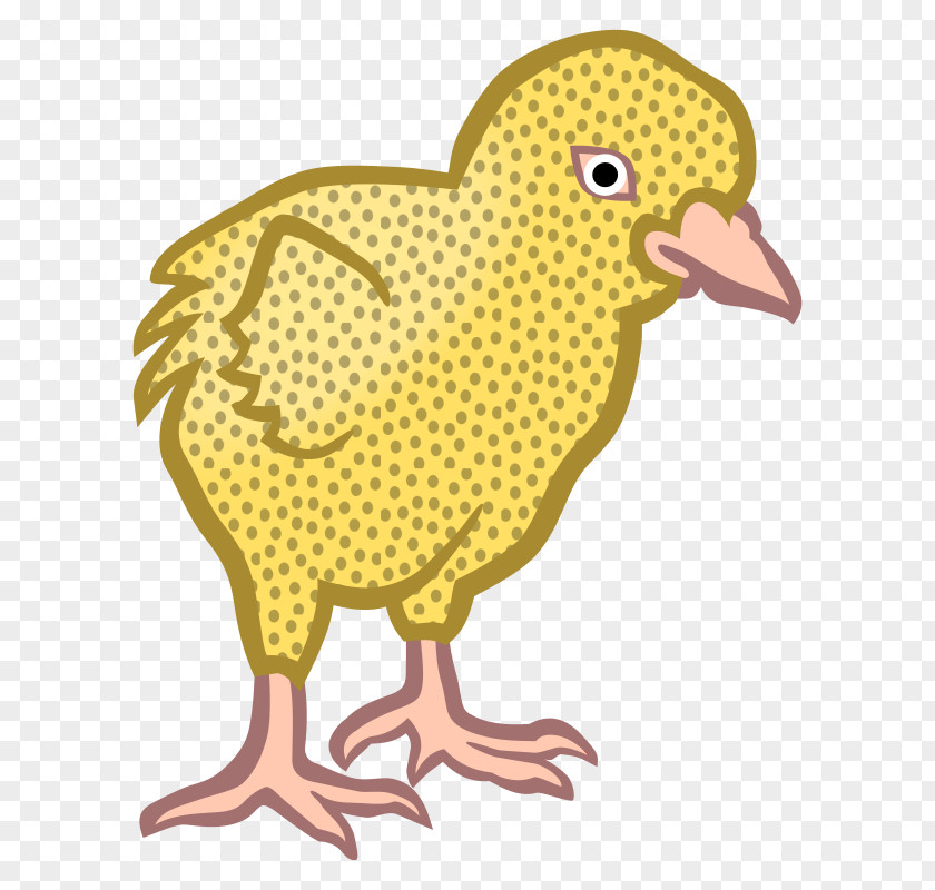 Orpington Chicken Ayam Cemani Australorp Leghorn Vector Graphics PNG