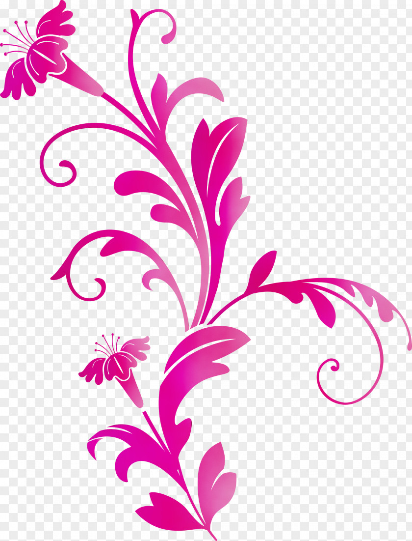 Pedicel Leaf Plant Flower Magenta PNG