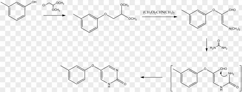 Synthesis Rutin Halogenation Flavonoid Chemical Reaction Electrophilic Substitution PNG