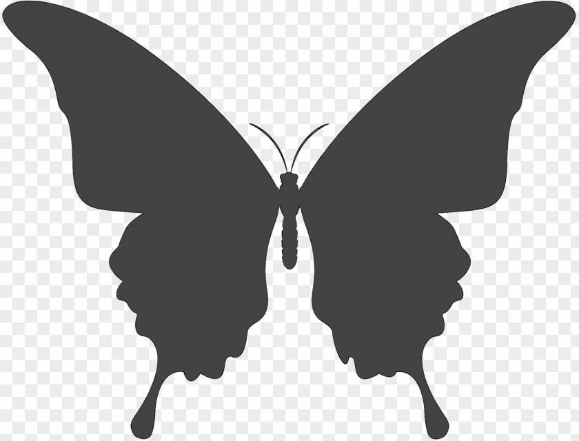 Ulysses Butterfly Swallowtail Image Vector Graphics PNG