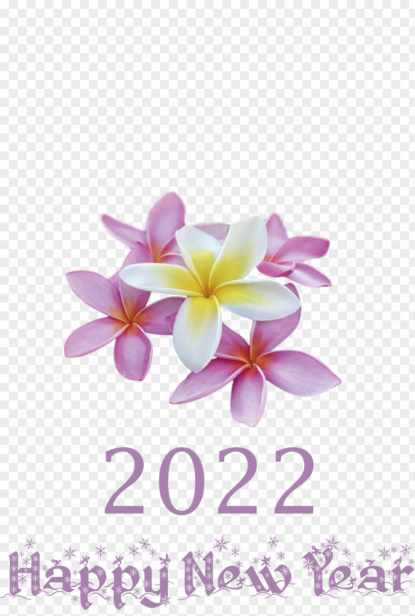 2022 Happy New Year PNG