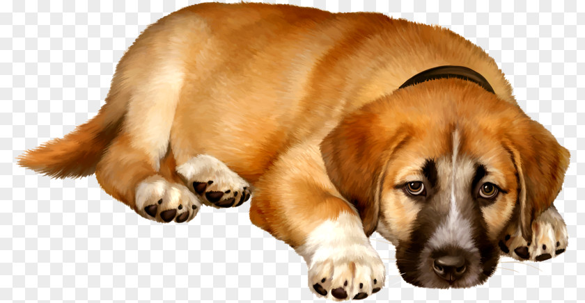 A Silly Dog Bulldog Puppy Illustration PNG