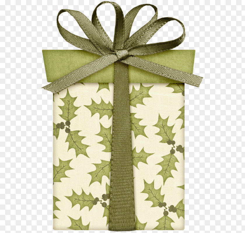 Green Gift Box Google Images Download PNG