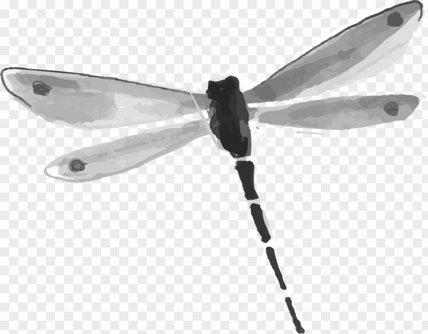 Ink Dragonfly Wash Painting PNG