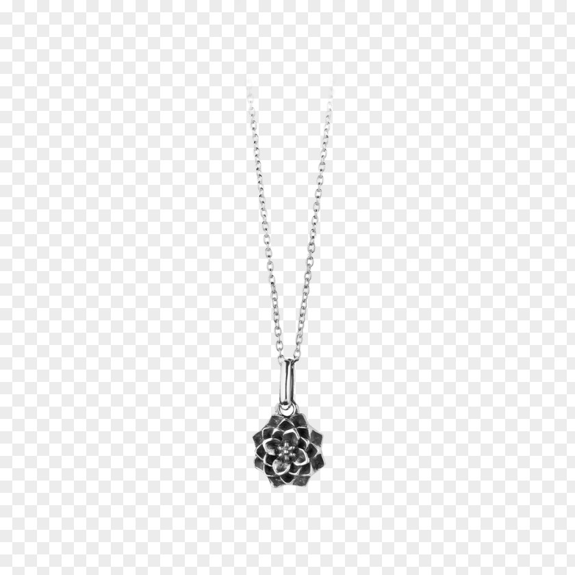 Necklace Locket Silver Body Jewellery PNG