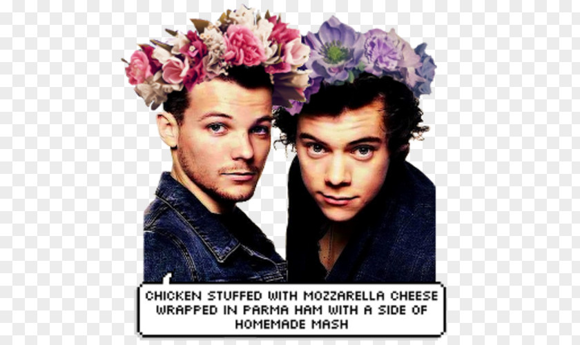 One Direction Harry Styles Louis Tomlinson Bromance Shipping PNG