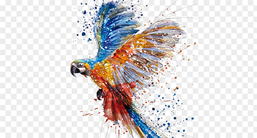 Watercolor Dancing Parrot Painting Drawing Art PNG