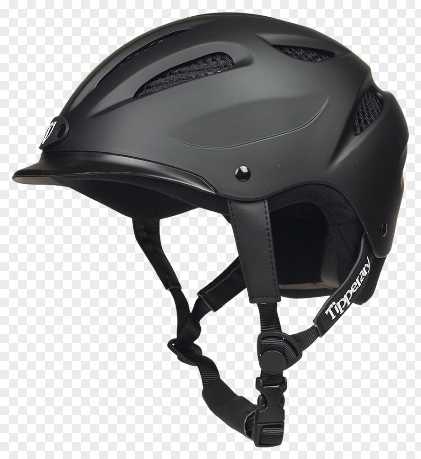 Bicycle Helmets Equestrian Horse PNG