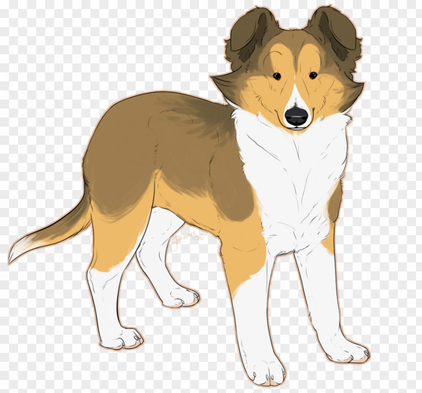 Corgi Clipart Dog Breed Shetland Sheepdog Old English Border Collie Rough PNG