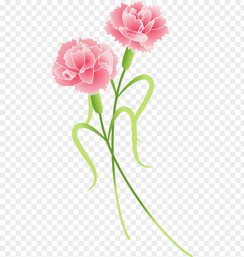 Mother 's Day Carnations Child Mother's Blog Infant PNG