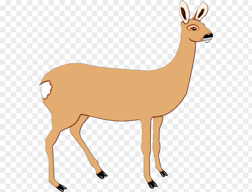 Tail Fawn Watercolor Animal PNG