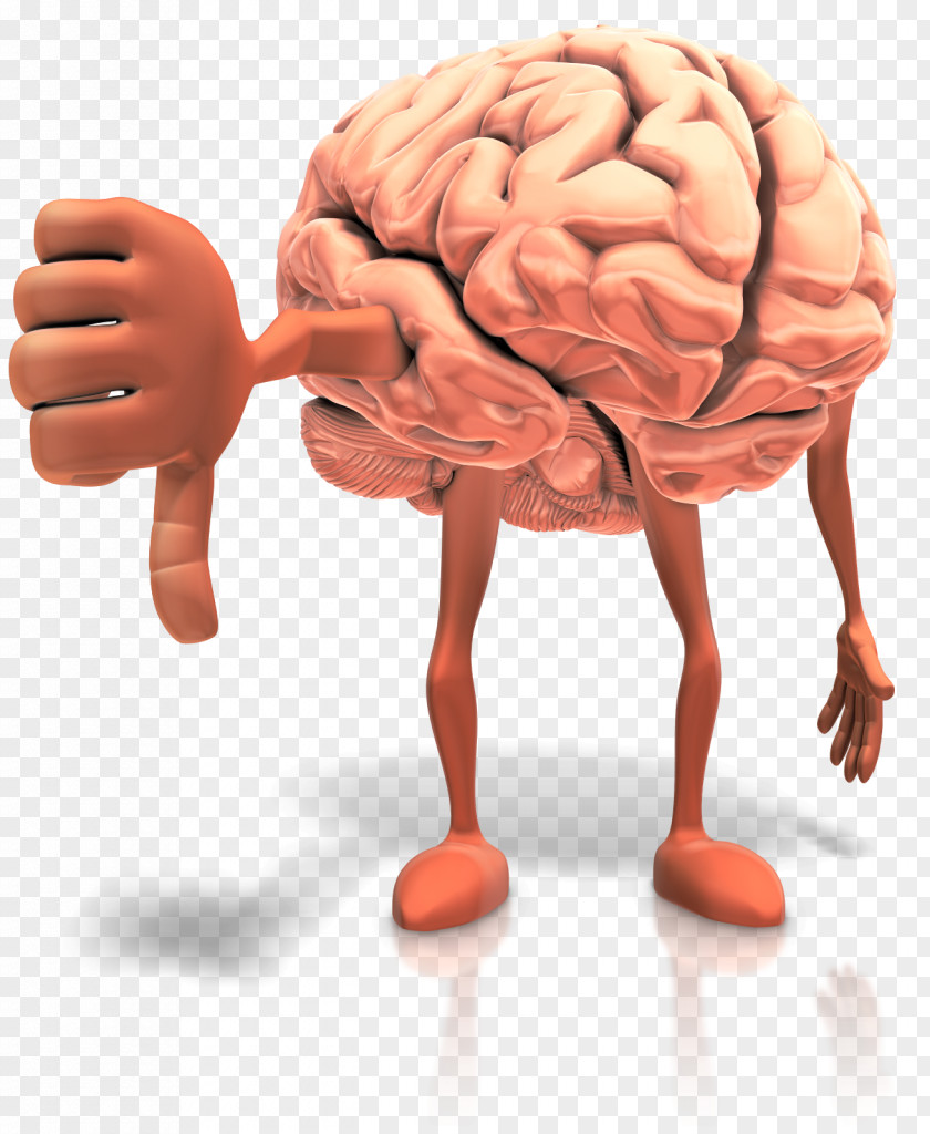 Brain Clip Art Smart: Choose And Use The Best Digital Human Openclipart PNG