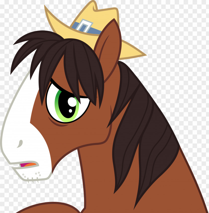 Cat Pony Princess Celestia Apple Bloom Appleoosa's Most Wanted PNG