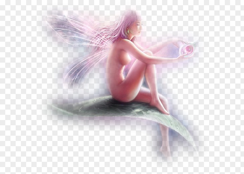 Fairy Desktop Wallpaper Lilac PNG