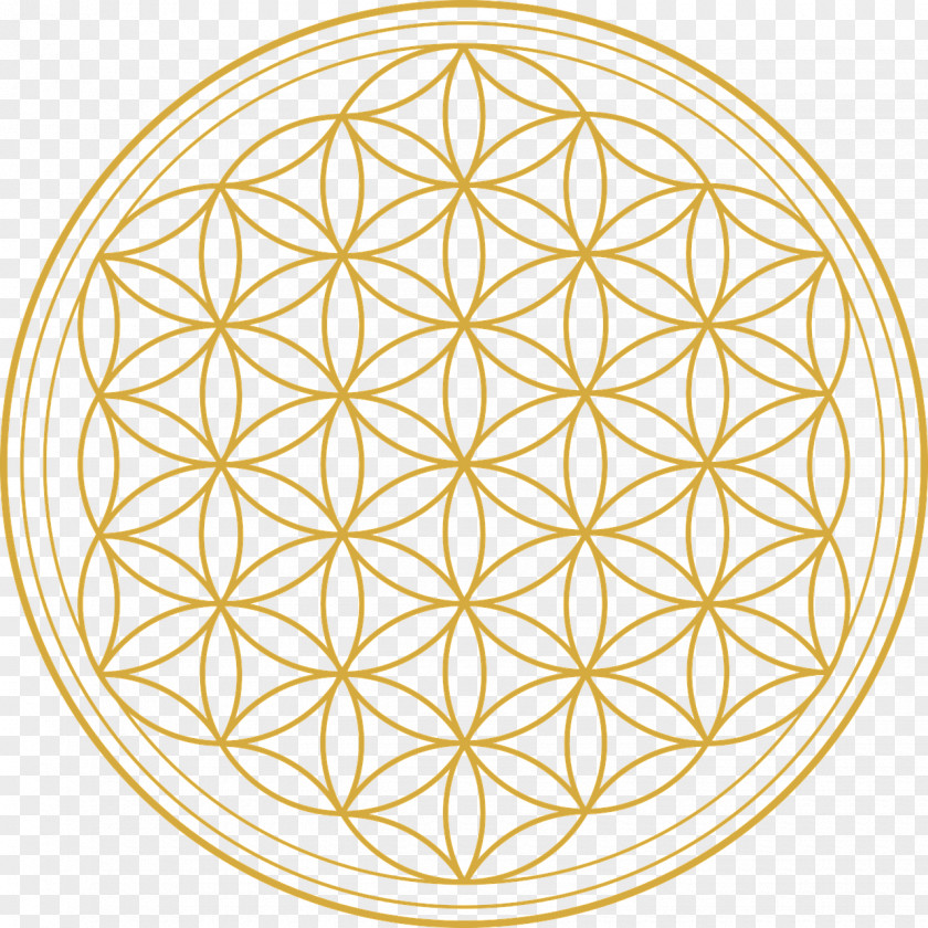 Flower Overlapping Circles Grid Sacred Geometry PNG