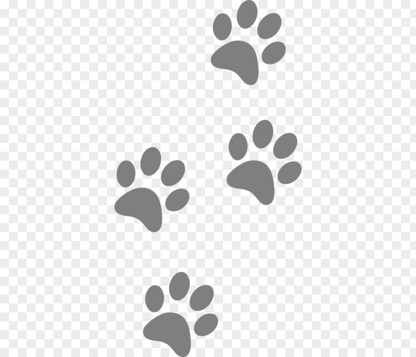 Footsteps Dog Paw Footprint Clip Art PNG