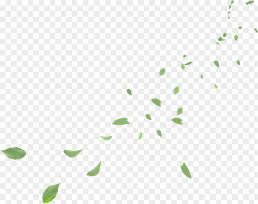 Leaf Frame Petal Clip Art PNG