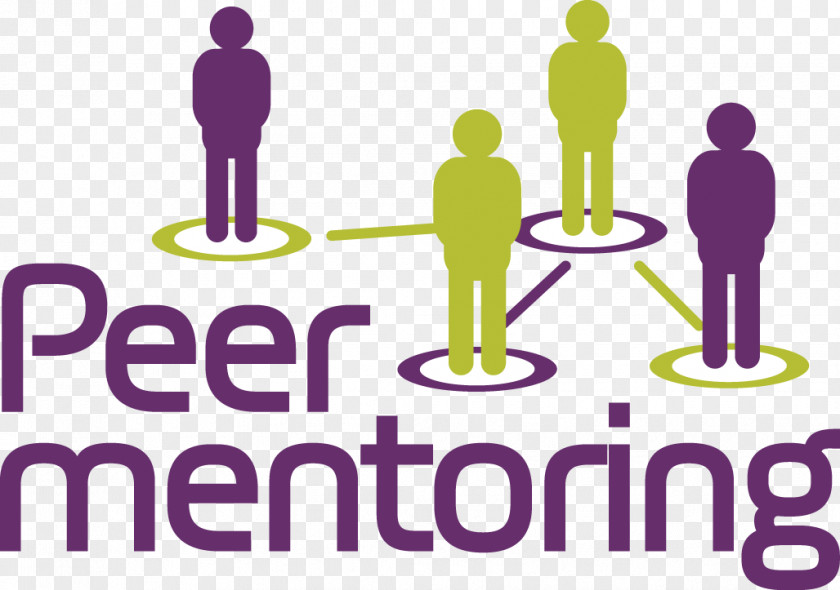 Mentorship Peer Mentoring Career Student Information PNG