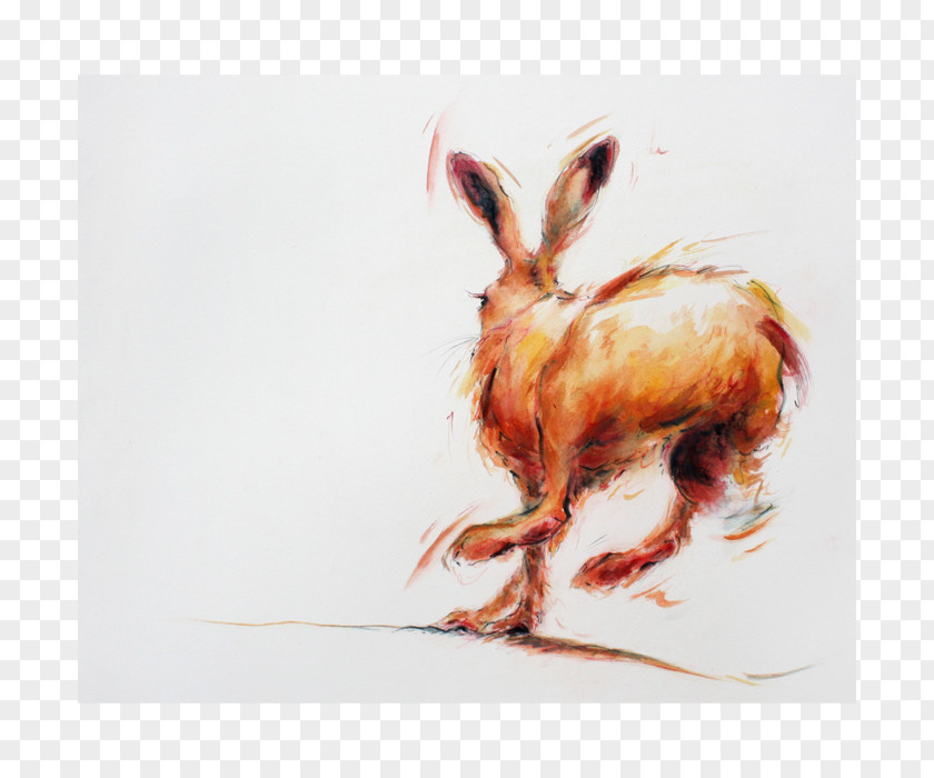 Painting Hare Fauna PNG