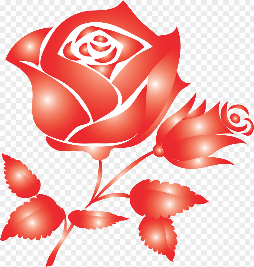 Red Rose Decorative Garden Roses Flower Rosaceae Clip Art PNG