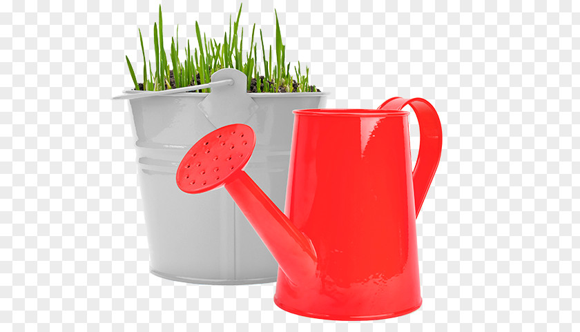 Retirement Savings Bucket Watering Cans Stock Photography Plastic Royalty-free PNG