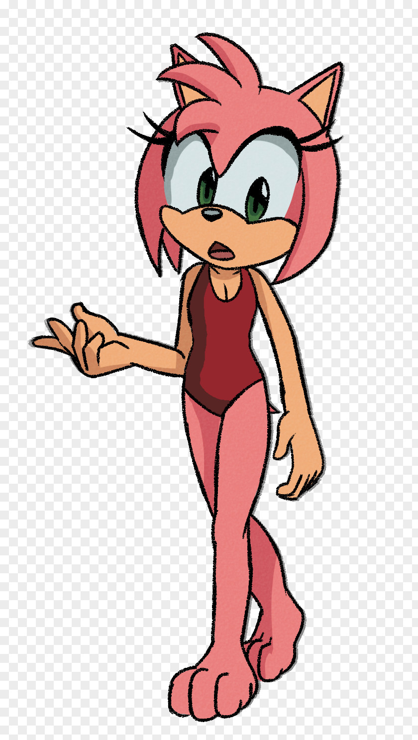 Amy Rose Sonic The Hedgehog Generations Chronicles: Dark Brotherhood Classic Collection PNG