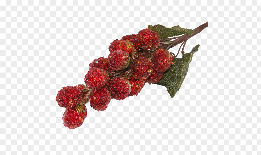 Christmas Flower Loganberry Centerblog Tayberry Pink Peppercorn PNG