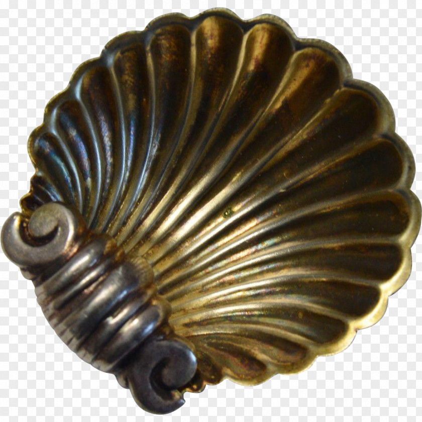 Cockle 01504 Bronze PNG