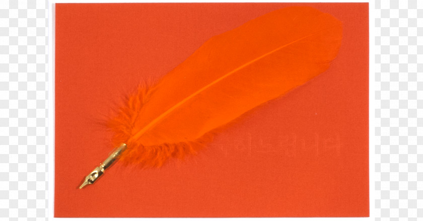 Cotton Paper Feather PNG