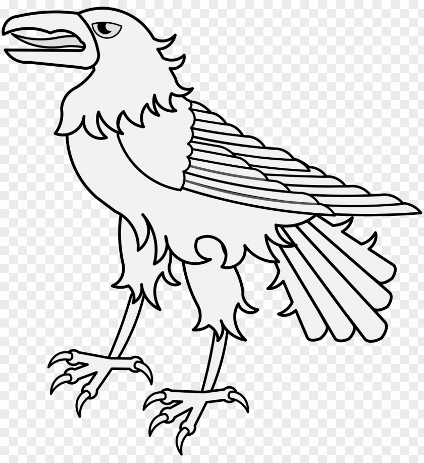Falconiformes Wildlife Bird Line Drawing PNG