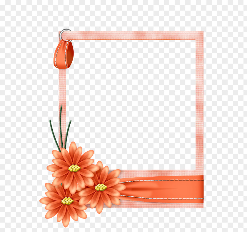 Flower Borders And Frames Picture Paper Clip Art PNG