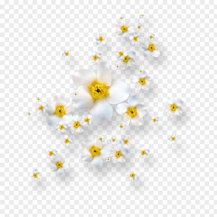 Flower Image Vector Graphics Clip Art PNG
