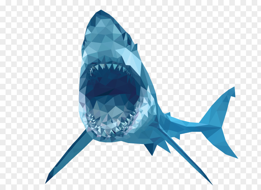 Geomatric Great White Shark Tiger Clip Art PNG
