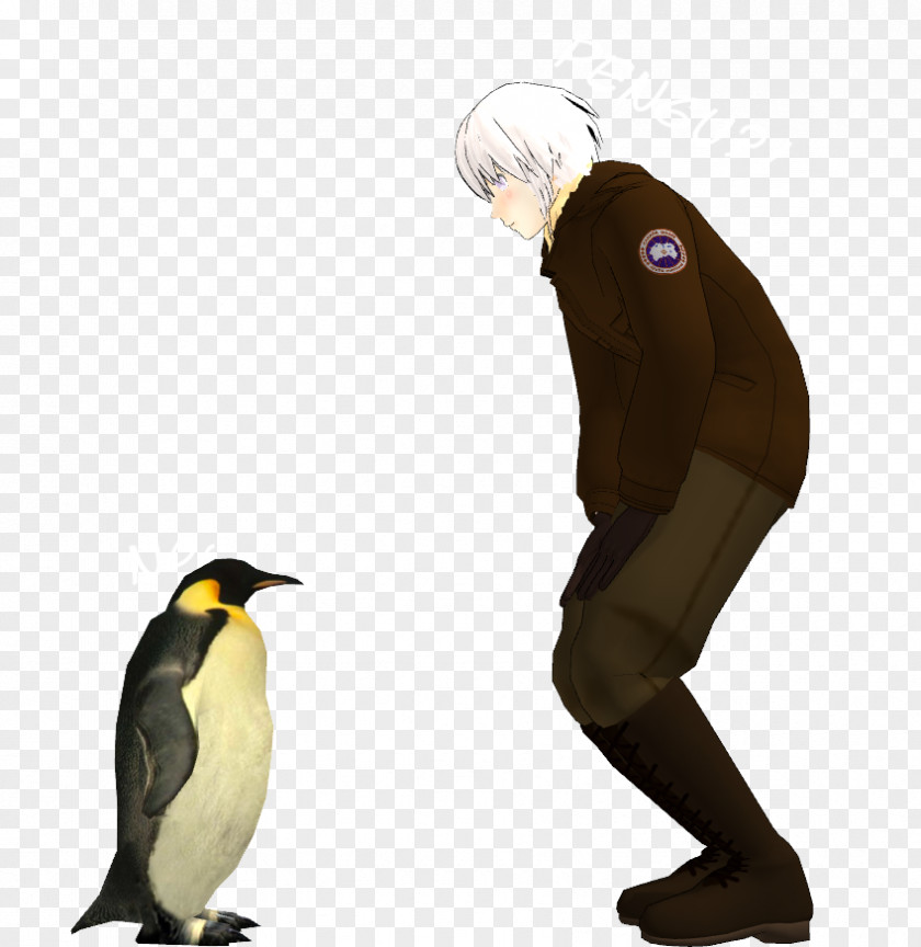 Penguin King Antarctica Emperor DeviantArt PNG