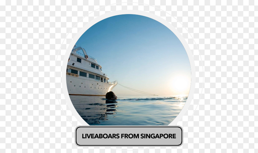 SINGAPORE TRAVEL Maldives Scuba Diving Liveaboard Set Underwater PNG