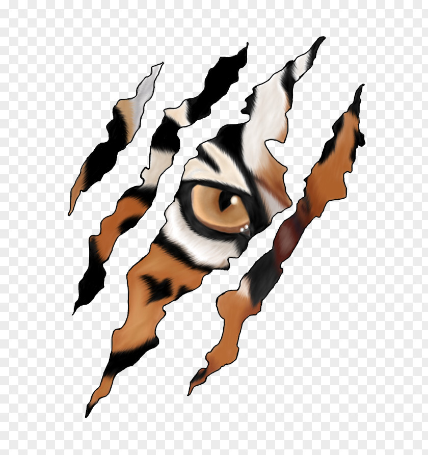 Tiger Claw Cheetah Clip Art PNG