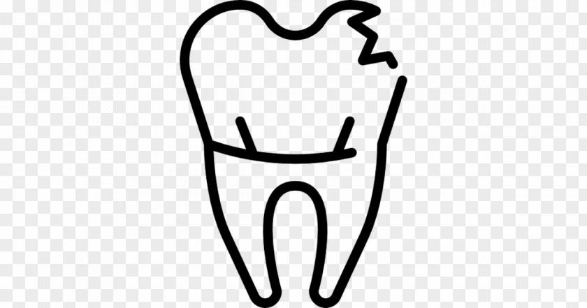 Tooth Dentistry PNG