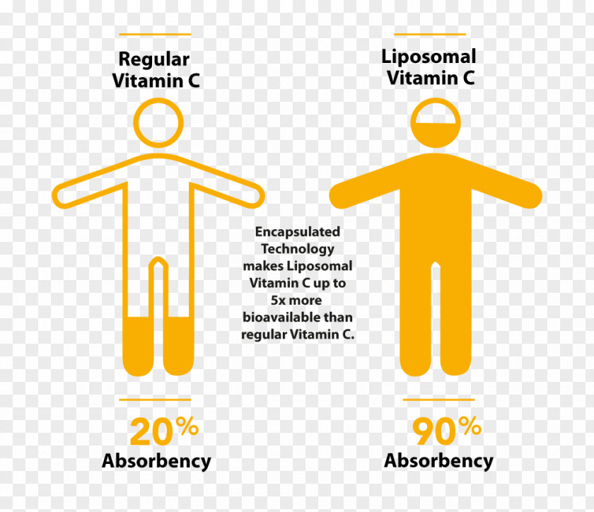 Top View Orange Juice Nutrient Vitamin C Liposome Sodium Ascorbate PNG