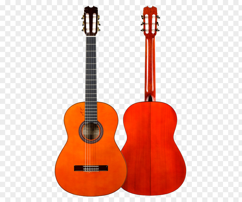 Guitar Classical Musical Instruments Acoustic Electric PNG
