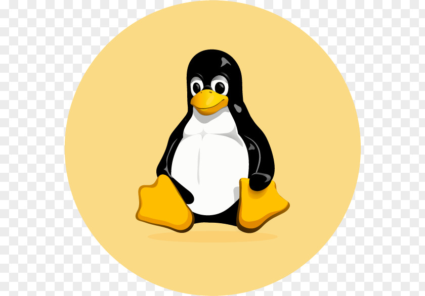 Linux VectorLinux Tux Installation Distribution PNG
