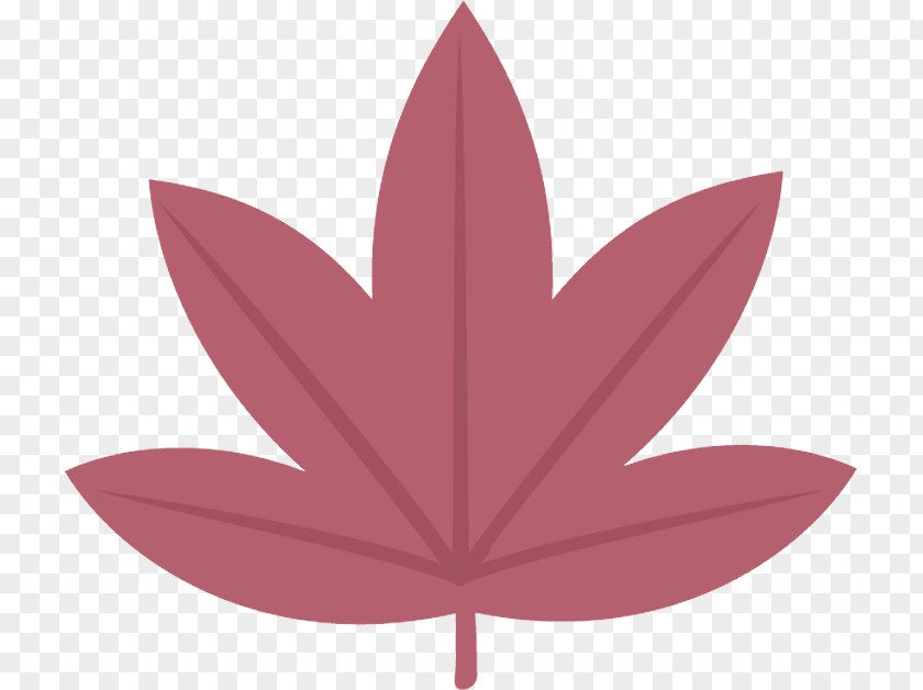 Maple Leaf PNG