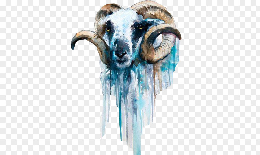 Old Goat Watercolor Picture Material Sheep Painting Art PNG